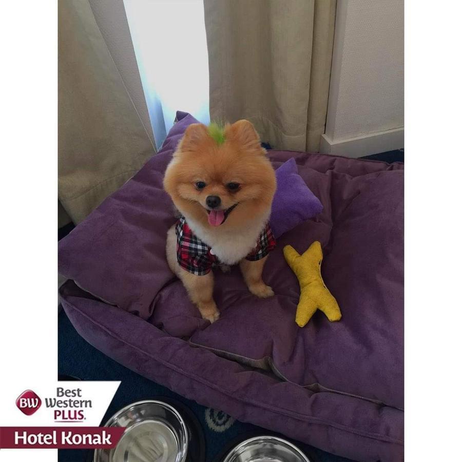Best Western Plus Hotel Konak İzmir Eksteriør bilde